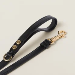 Black Leather Pet Leash | Miu Miu