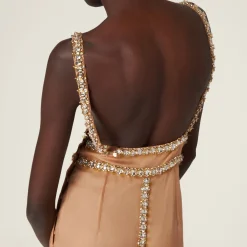 Cameo Embroidered Organza Dress | Miu Miu