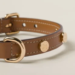 Caramel Leather Pet Collar | Miu Miu