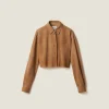 Maple Brown Suede Shirt | Miu Miu